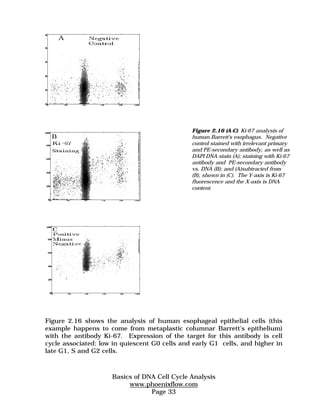 Figure 2.16 shows the analysis of human esophageal epithelial cells (this 
example happens to come from metaplastic columnar Barrett's epithelium) 
with the antibody Ki-67. Expression of the target for this antibody is cell 
cycle associated: low in quiescent G0 cells and early G1 cells, and higher in 
late G1, S and G2 cells. 
Basics of DNA Cell Cycle Analysis 
www.phoenixflow.com 
Page 33 
Figure 2.16 (A-C). Ki-67 analysis of 
human Barrett's esophagus. Negative 
control stained with irrelevant primary 
and PE-secondary antibody, as well as 
DAPI DNA stain (A); staining with Ki-67 
antibody and PE-secondary antibody 
vs. DNA (B); and (A)subtracted from 
(B), shown in (C). The Y-axis is Ki-67 
fluorescence and the X-axis is DNA 
content. 
 