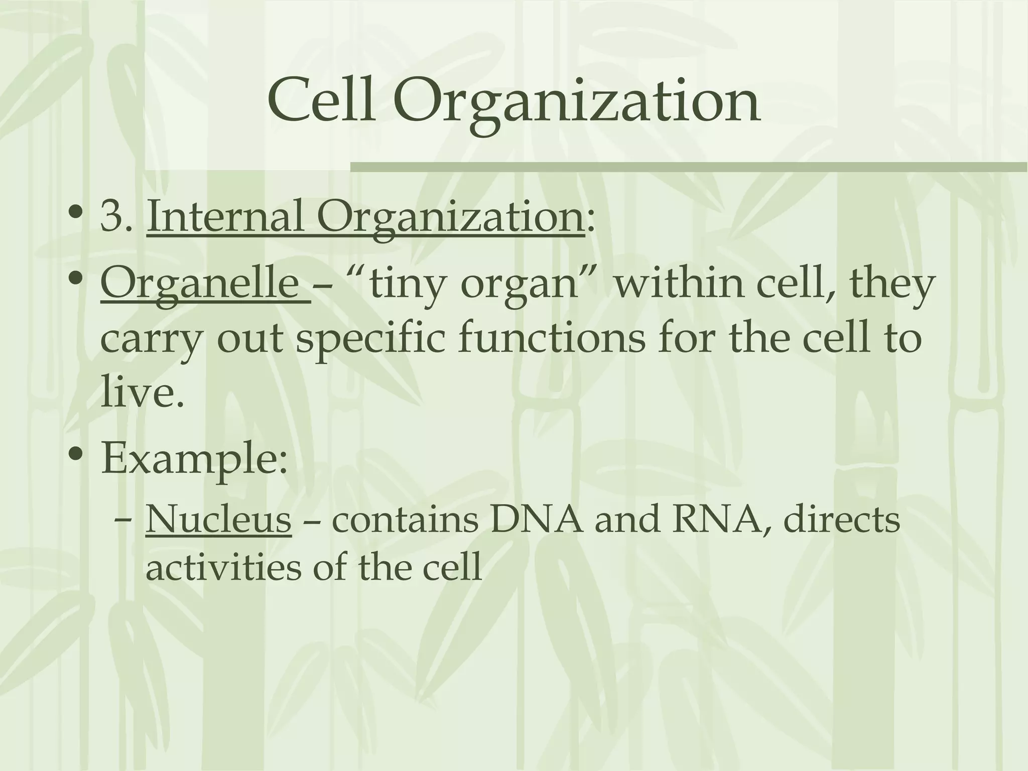 Cell Organization
• 3. Internal Organization:
• Organelle – “tiny organ” within cell, they
carry out specific functions for the cell to
live.
• Example:
– Nucleus – contains DNA and RNA, directs
activities of the cell
 
