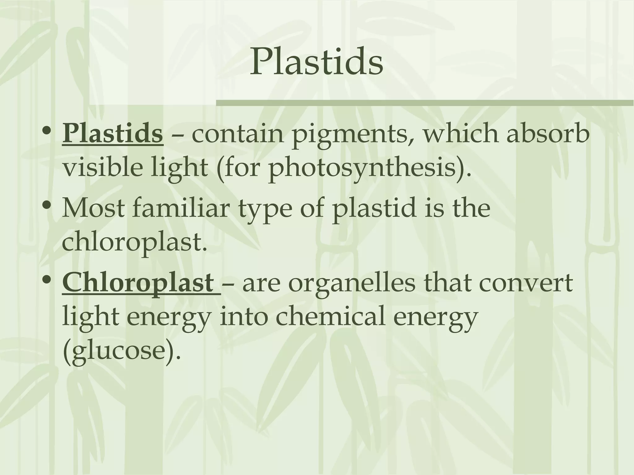 Plastids
• Plastids – contain pigments, which absorb
visible light (for photosynthesis).
• Most familiar type of plastid is the
chloroplast.
• Chloroplast – are organelles that convert
light energy into chemical energy
(glucose).
 