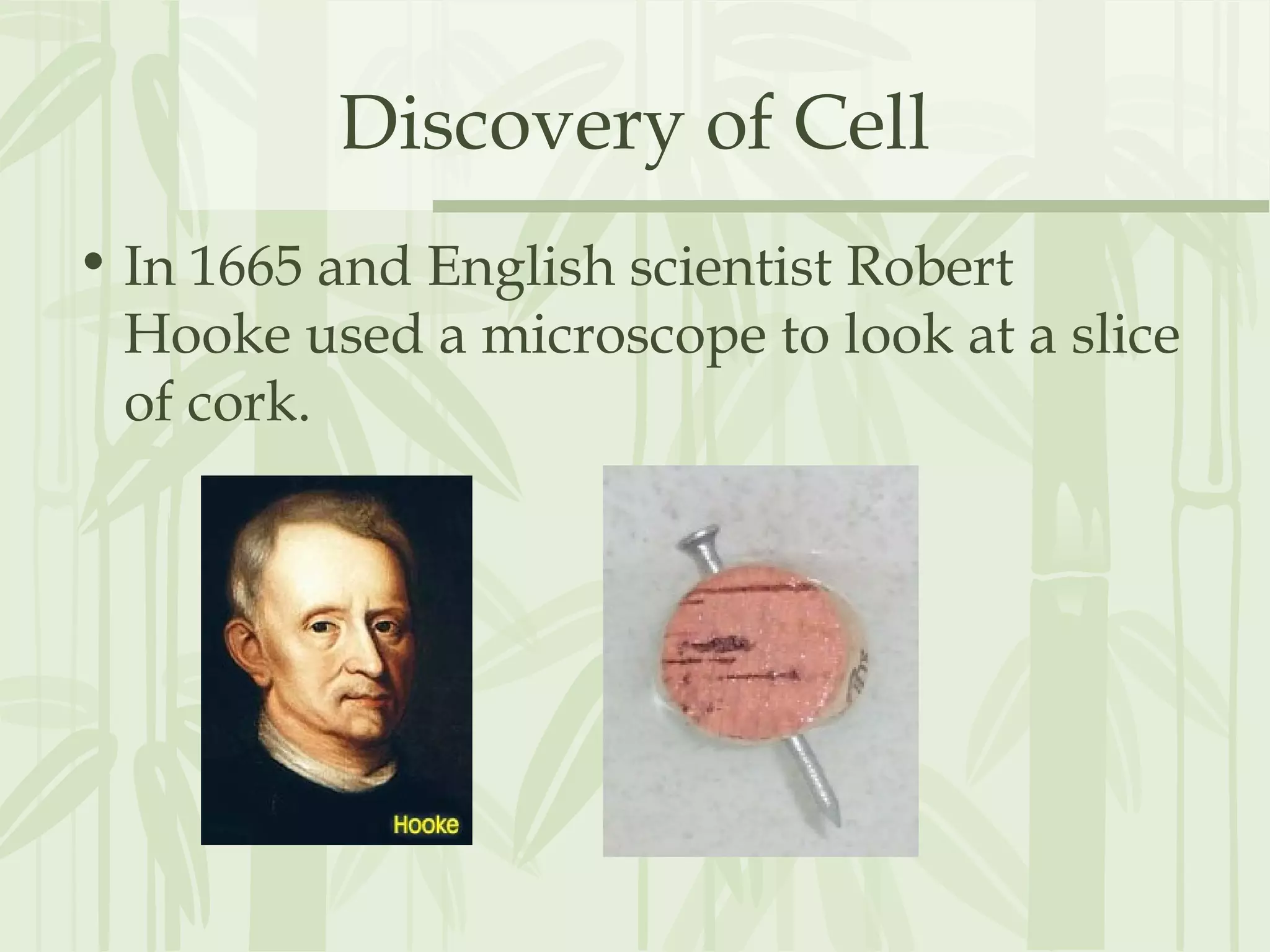 Discovery of Cell
• In 1665 and English scientist Robert
Hooke used a microscope to look at a slice
of cork.
 