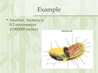 Example
• Smallest: bacteria is
0.2 micrometers
(0.000008 inches)
 