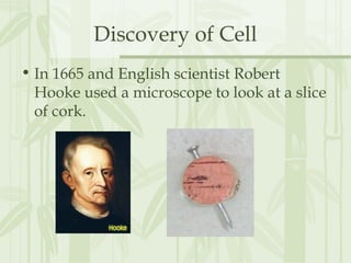 Discovery of Cell
• In 1665 and English scientist Robert
Hooke used a microscope to look at a slice
of cork.
 