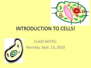 INTRODUCTION TO CELLS! CLASS NOTES: Monday, Sept. 13, 2010 