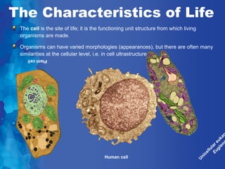 The Characteristics of Life
 The cell is the site of life; it is the functioning unit structure from which living
 organisms are made.

 Organisms can have varied morphologies (appearances), but there are often many
 similarities at the cellular level, i.e. in cell ultrastructure.
    Plant cell




        Photo: Brian Finerran




                                                                                                     a r
                                                                                                   en ka
                                                                                                g l eu
                                                                                            Eu lar
                                                                                              llu
                                                                                           ce
                                         Human cell




                                                                                         ni
                                                                                        U
 