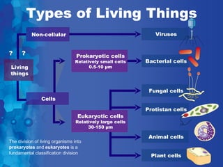 Types of Living Things
           Non-cellular                                       Viruses


?     ?                           Prokaryotic cells
                                 Relatively small cells    Bacterial cells
Living                                 0.5-10 µm
things


                                                            Fungal cells
                Cells

                                                           Protistan cells
                                   Eukaryotic cells
                                  Relatively large cells
                                       30-150 µm

                                                            Animal cells
The division of living organisms into
prokaryotes and eukaryotes is a
fundamental classification division
                                                             Plant cells
 