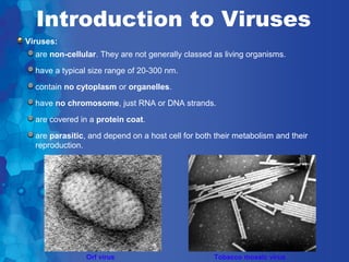 Introduction to Viruses
Viruses:
  are non-cellular. They are not generally classed as living organisms.
  have a typical size range of 20-300 nm.
  contain no cytoplasm or organelles.
  have no chromosome, just RNA or DNA strands.
  are covered in a protein coat.
  are parasitic, and depend on a host cell for both their metabolism and their
  reproduction.




                Orf virus                          Tobacco mosaic virus
 