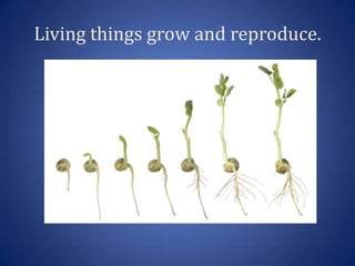 Living things grow and reproduce.
 