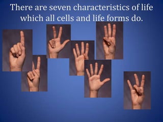 There are seven characteristics of life
  which all cells and life forms do.
 