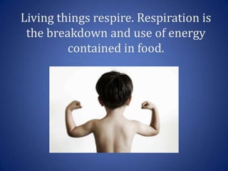 Living things respire. Respiration is
 the breakdown and use of energy
         contained in food.
 