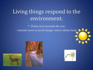 Living things respond to the
        environment.
      - Plants turn towards the sun.
 - animals move to avoid danger and to obtain food.
 