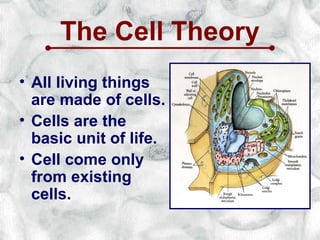 The Cell Theory
• All living things
  are made of cells.
• Cells are the
  basic unit of life.
• Cell come only
  from existing
  cells.
 