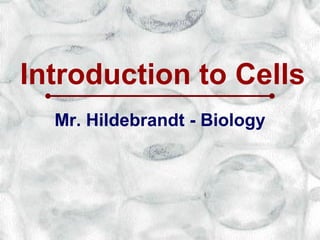 Introduction to Cells
  Mr. Hildebrandt - Biology
 
