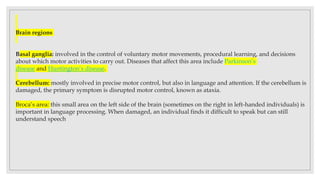 Brain regions
Basal ganglia: involved in the control of voluntary motor movements, procedural learning, and decisions
about which motor activities to carry out. Diseases that affect this area include Parkinson’s
disease and Huntington’s disease.
Cerebellum: mostly involved in precise motor control, but also in language and attention. If the cerebellum is
damaged, the primary symptom is disrupted motor control, known as ataxia.
Broca’s area: this small area on the left side of the brain (sometimes on the right in left-handed individuals) is
important in language processing. When damaged, an individual finds it difficult to speak but can still
understand speech
 