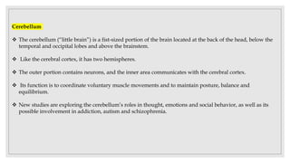 Cerebellum
 The cerebellum (“little brain”) is a fist-sized portion of the brain located at the back of the head, below the
temporal and occipital lobes and above the brainstem.
 Like the cerebral cortex, it has two hemispheres.
 The outer portion contains neurons, and the inner area communicates with the cerebral cortex.
 Its function is to coordinate voluntary muscle movements and to maintain posture, balance and
equilibrium.
 New studies are exploring the cerebellum’s roles in thought, emotions and social behavior, as well as its
possible involvement in addiction, autism and schizophrenia.
 