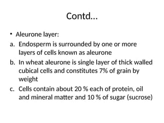 Comprehensive Overview of Cereal Grain Anatomy, Composition, and Global ...