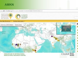 Introduction to cgiar efforts to make research processes aaa final