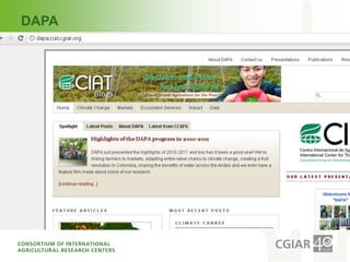 Introduction to cgiar efforts to make research processes aaa final