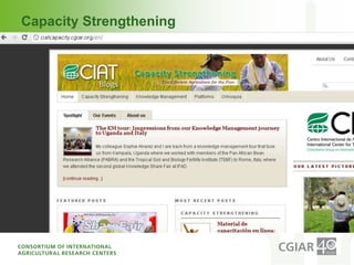 Introduction to cgiar efforts to make research processes aaa final