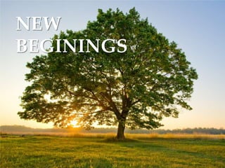 NEW
BEGININGS
 
