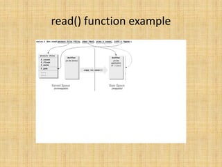 read() function example
 