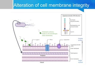 Cell Integrity Introduction to chemotherapy.ppt