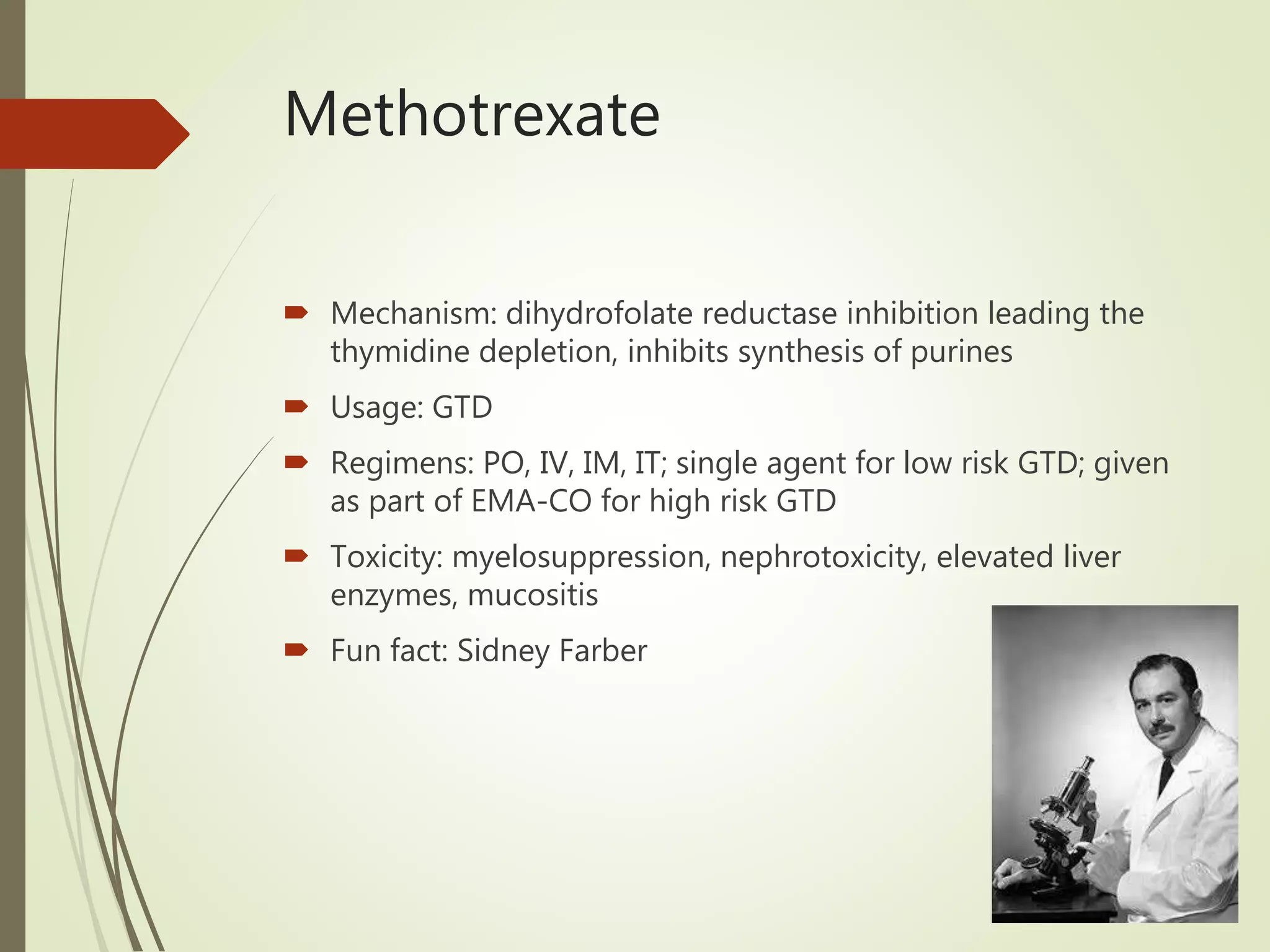 Methotrexate
 Mechanism: dihydrofolate reductase inhibition leading the
thymidine depletion, inhibits synthesis of purines
 Usage: GTD
 Regimens: PO, IV, IM, IT; single agent for low risk GTD; given
as part of EMA-CO for high risk GTD
 Toxicity: myelosuppression, nephrotoxicity, elevated liver
enzymes, mucositis
 Fun fact: Sidney Farber
 