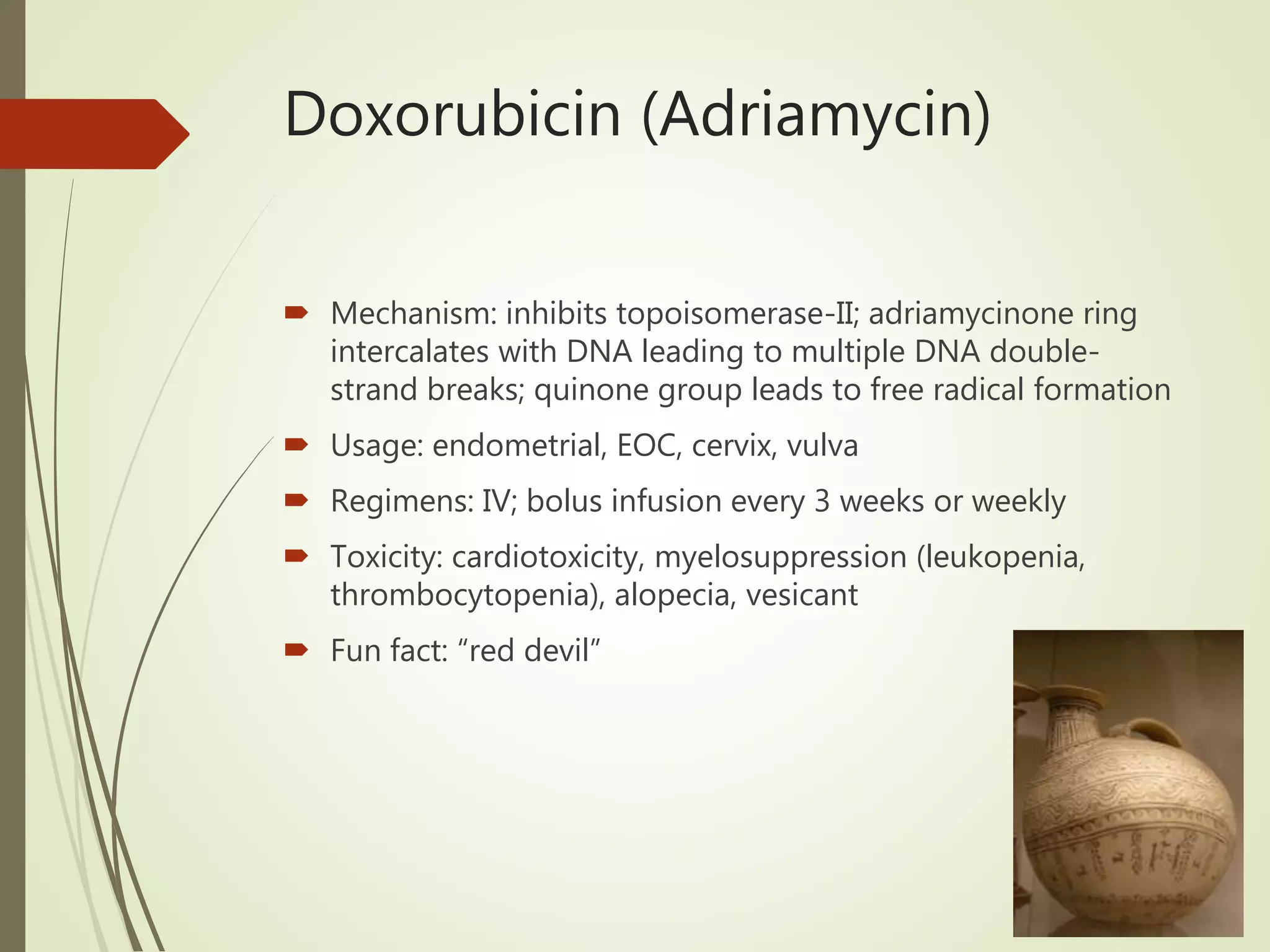 Doxorubicin (Adriamycin)
 Mechanism: inhibits topoisomerase-II; adriamycinone ring
intercalates with DNA leading to multiple DNA double-
strand breaks; quinone group leads to free radical formation
 Usage: endometrial, EOC, cervix, vulva
 Regimens: IV; bolus infusion every 3 weeks or weekly
 Toxicity: cardiotoxicity, myelosuppression (leukopenia,
thrombocytopenia), alopecia, vesicant
 Fun fact: “red devil”
 