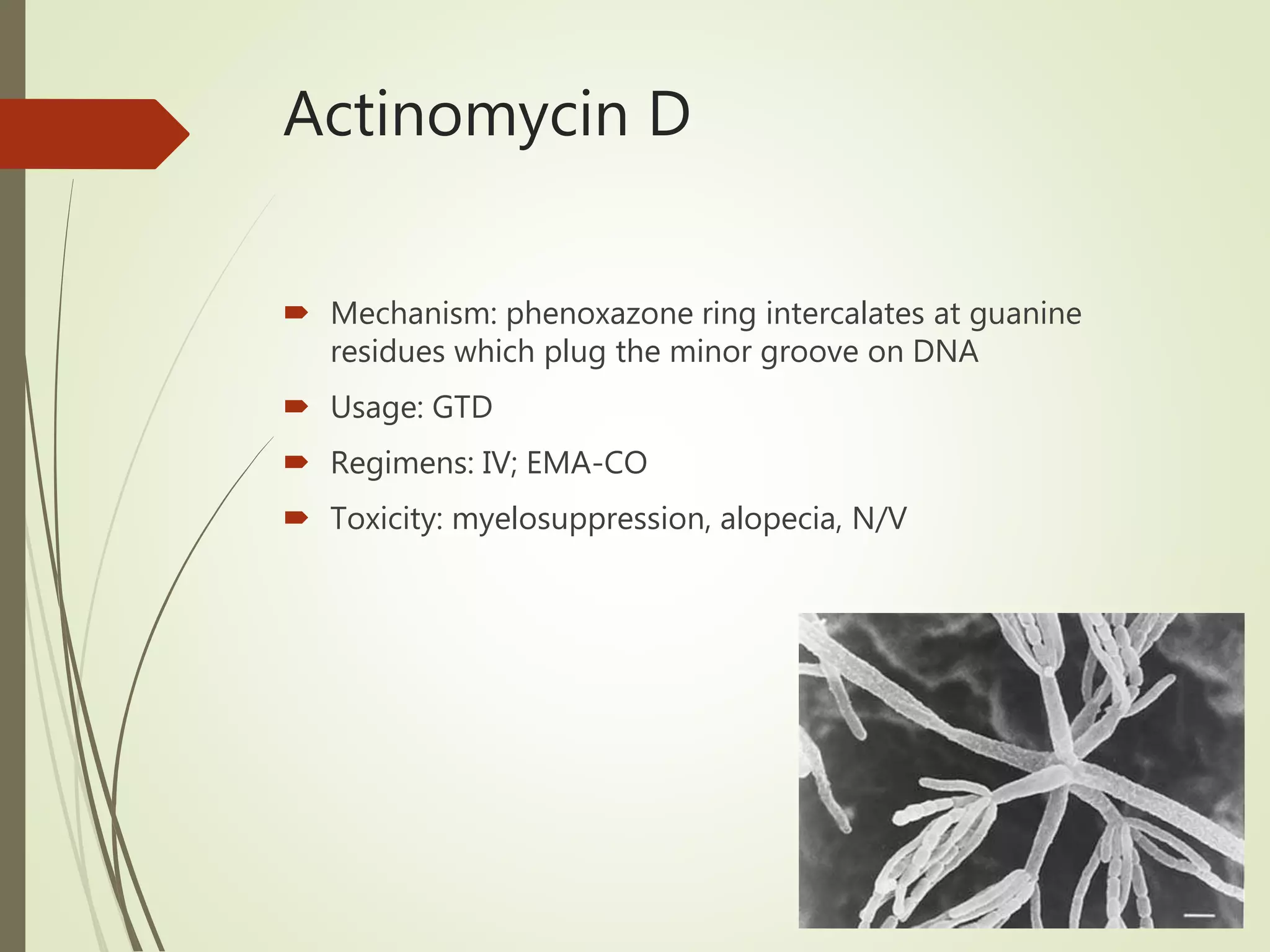Actinomycin D
 Mechanism: phenoxazone ring intercalates at guanine
residues which plug the minor groove on DNA
 Usage: GTD
 Regimens: IV; EMA-CO
 Toxicity: myelosuppression, alopecia, N/V
 