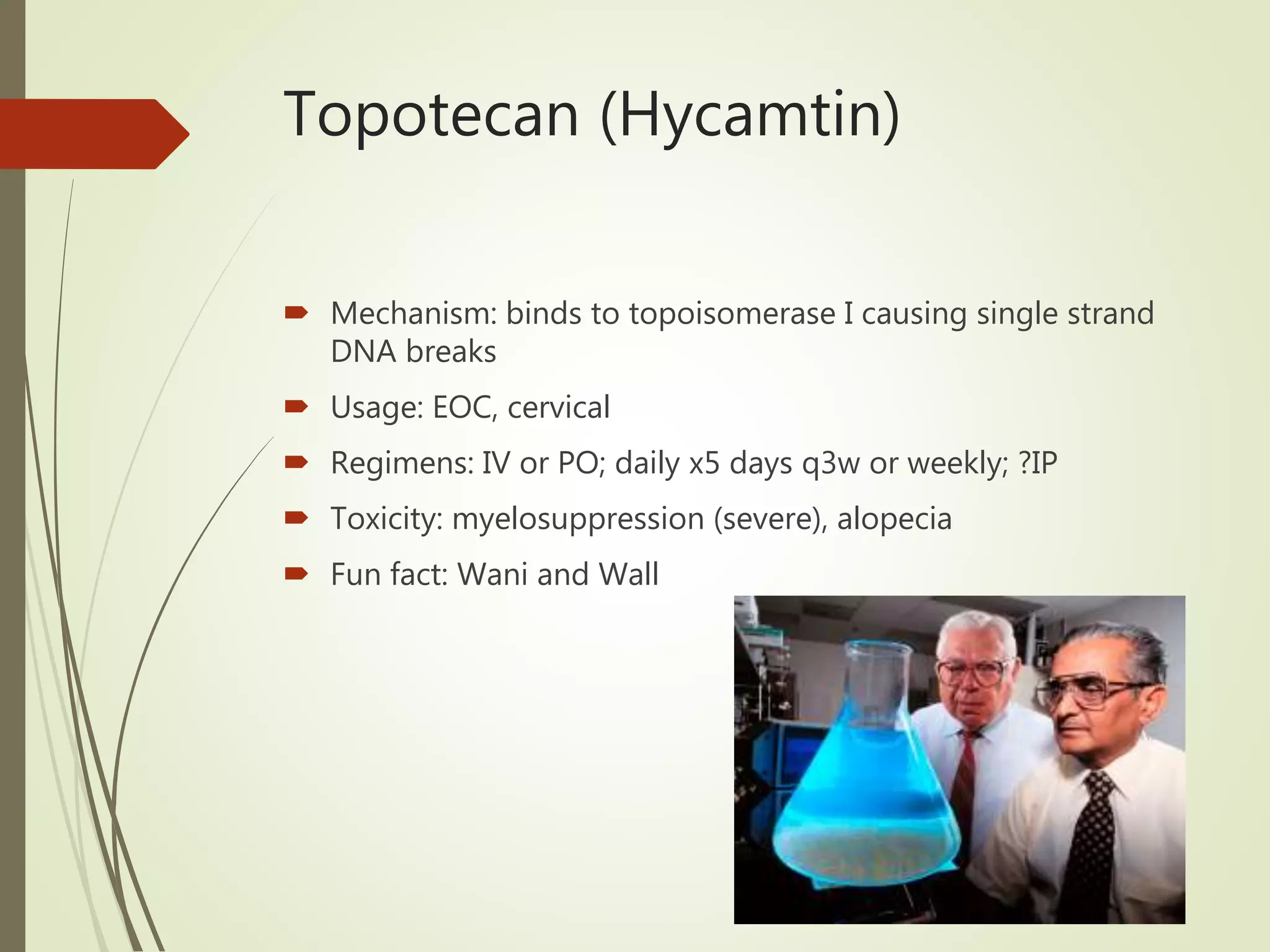 Topotecan (Hycamtin)
 Mechanism: binds to topoisomerase I causing single strand
DNA breaks
 Usage: EOC, cervical
 Regimens: IV or PO; daily x5 days q3w or weekly; ?IP
 Toxicity: myelosuppression (severe), alopecia
 Fun fact: Wani and Wall
 