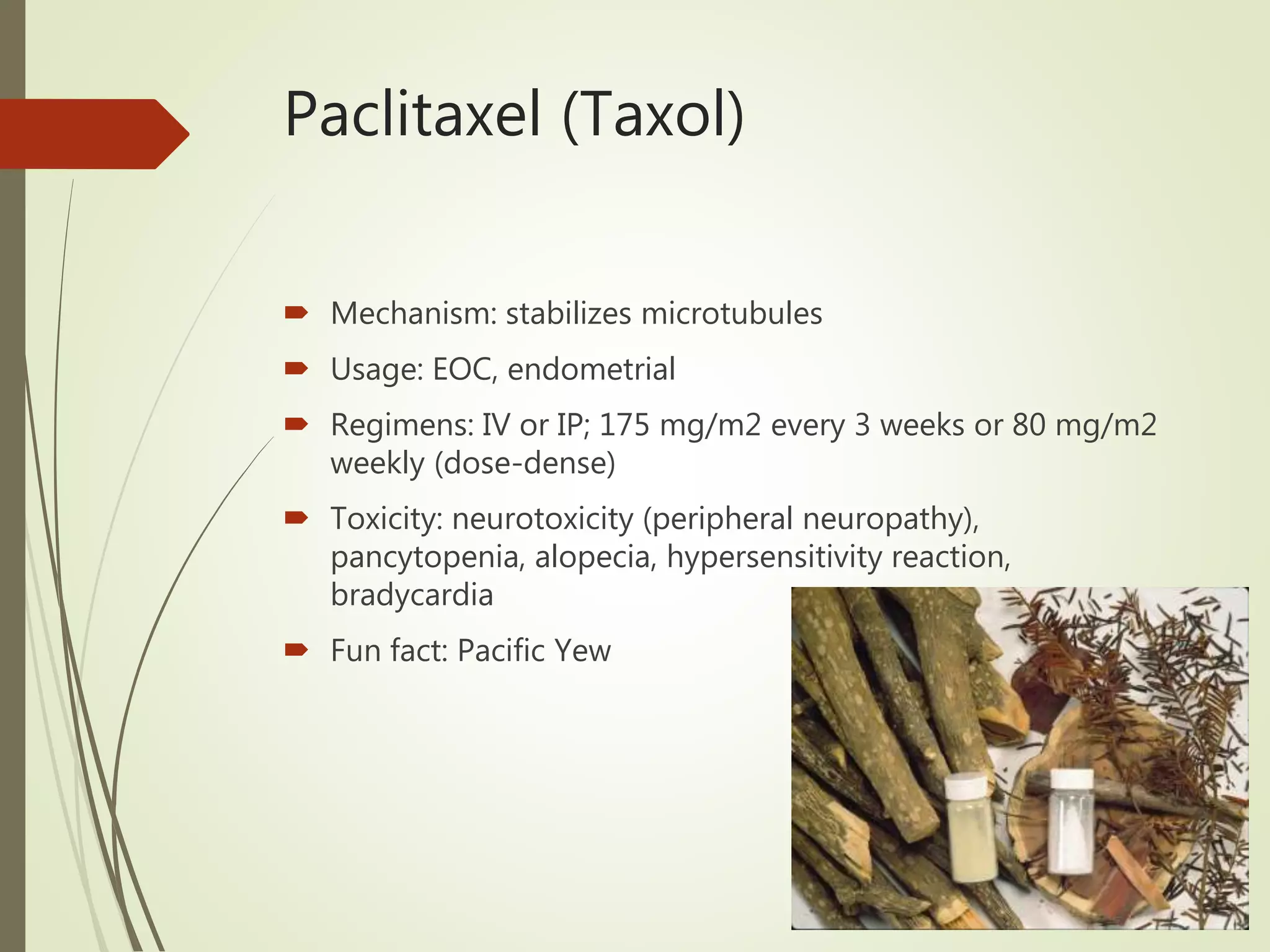Paclitaxel (Taxol)
 Mechanism: stabilizes microtubules
 Usage: EOC, endometrial
 Regimens: IV or IP; 175 mg/m2 every 3 weeks or 80 mg/m2
weekly (dose-dense)
 Toxicity: neurotoxicity (peripheral neuropathy),
pancytopenia, alopecia, hypersensitivity reaction,
bradycardia
 Fun fact: Pacific Yew
 