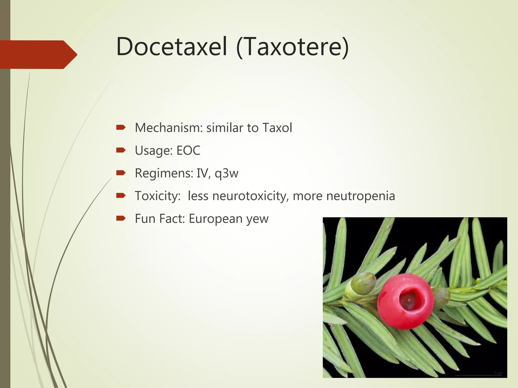Docetaxel (Taxotere)
 Mechanism: similar to Taxol
 Usage: EOC
 Regimens: IV, q3w
 Toxicity: less neurotoxicity, more neutropenia
 Fun Fact: European yew
 