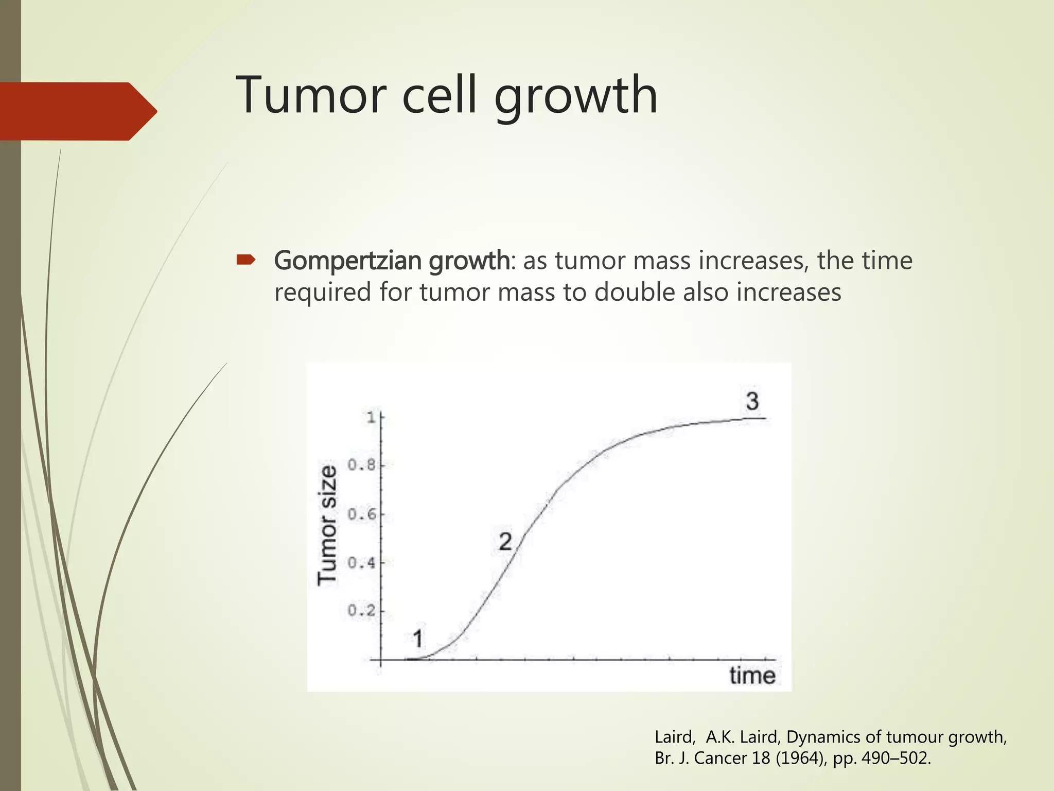 Tumor cell growth
 Gompertzian growth: as tumor mass increases, the time
required for tumor mass to double also increases
Laird, A.K. Laird, Dynamics of tumour growth,
Br. J. Cancer 18 (1964), pp. 490–502.
 