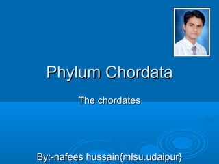Phylum ChordataPhylum Chordata
The chordatesThe chordates
By:-nafees hussain{mlsu.udaipur}By:-nafees hussain{mlsu.udaipur}
 