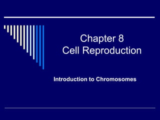 Chapter 8
  Cell Reproduction

Introduction to Chromosomes
 