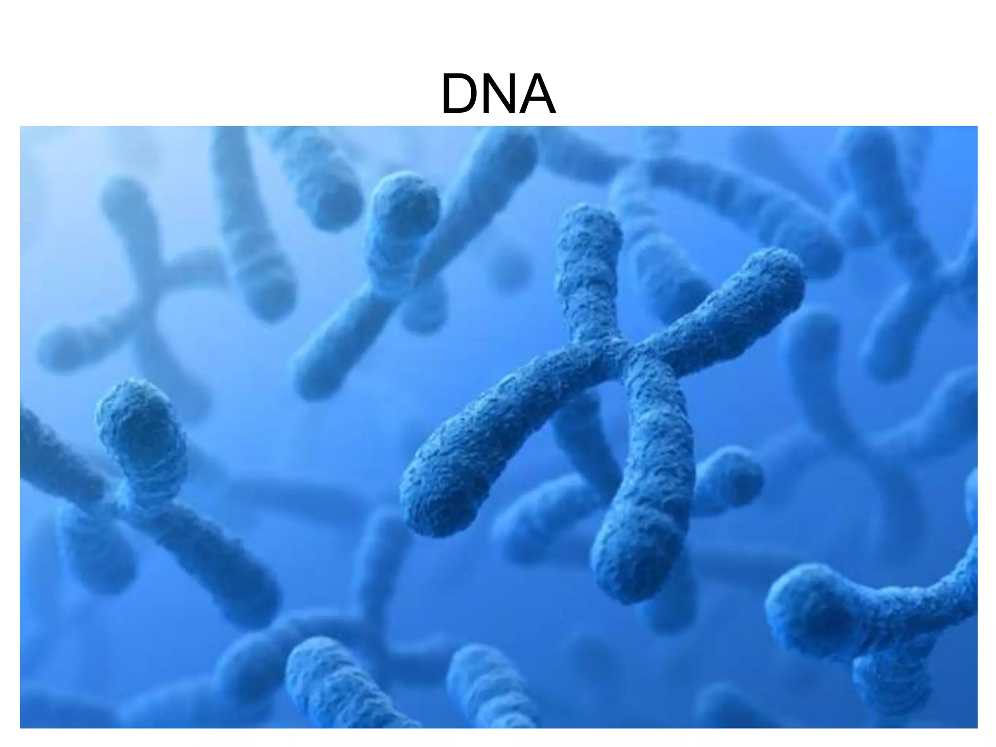 DNA
 