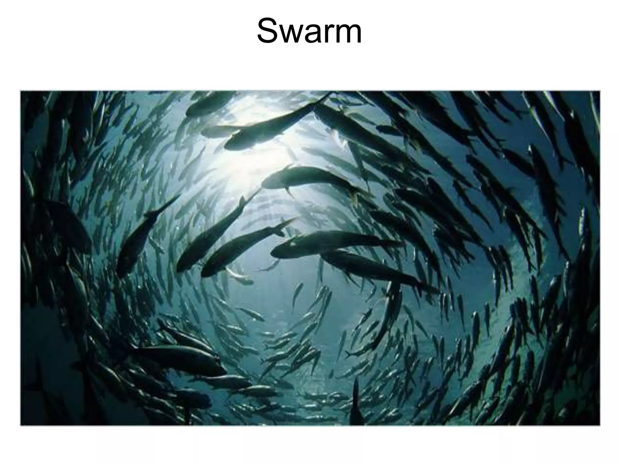 Swarm
 