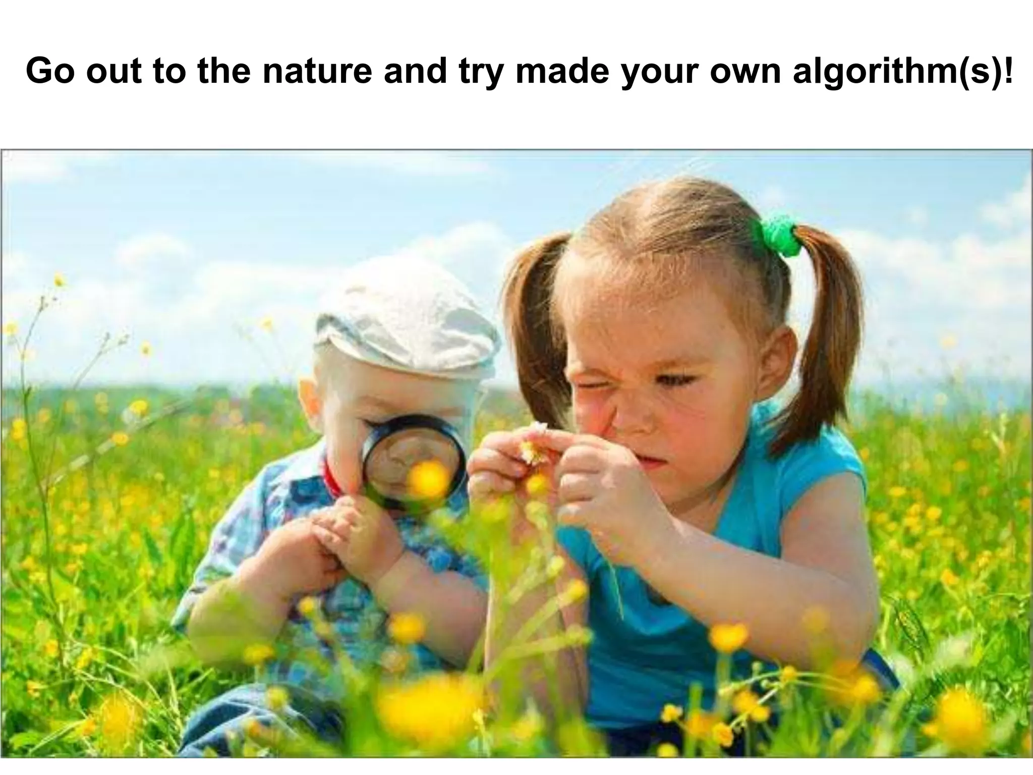 Go out to the nature and try made your own algorithm(s)!
 