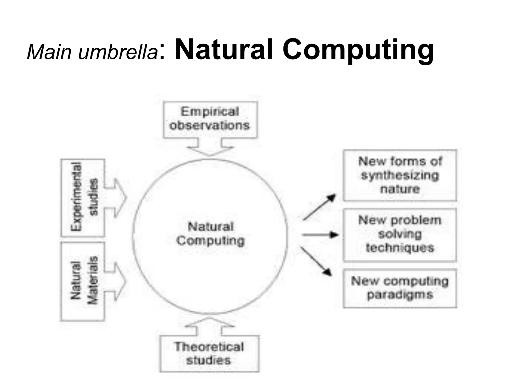 Main umbrella: Natural Computing
 