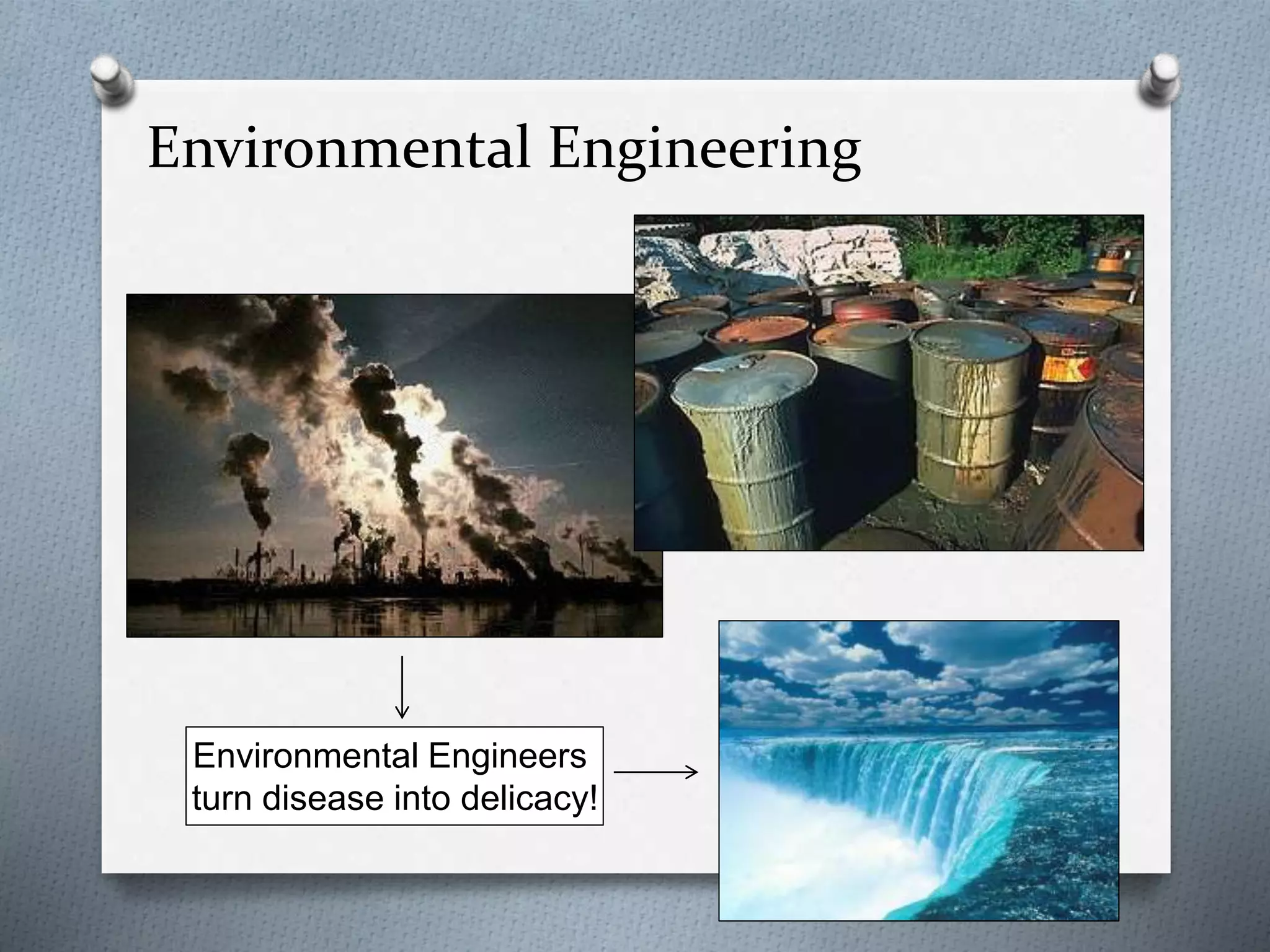 Environmental Engineering
Environmental Engineers
turn disease into delicacy!
 