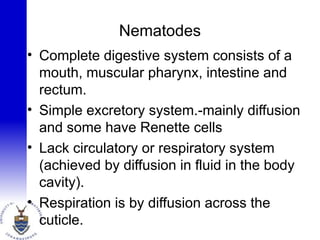 Nematodes
• Complete digestive system consists of a
mouth, muscular pharynx, intestine and
rectum.
• Simple excretory system.-mainly diffusion
and some have Renette cells
• Lack circulatory or respiratory system
(achieved by diffusion in fluid in the body
cavity).
• Respiration is by diffusion across the
cuticle.
 