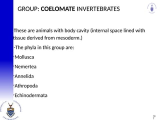 GROUP: COELOMATE INVERTEBRATES
-
These are animals with body cavity (internal space lined with
tissue derived from mesoderm.)
-
-The phyla in this group are:

Mollusca

Nemertea

Annelida

Athropoda

Echinodermata
10
7
 