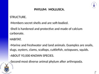STRUCTURE.
-Members secret shells and are soft-bodied.
-Shell is hardened and protective and made of calcium
carbonate.
HABITAT.
-Marine and freshwater and land animals. Examples are snails,
slugs, oysters, clams, scallops, cuttlefish, octopuses, squids.
-ABOUT 93,000 KNOWN SPECIES.
-Second most diverse animal phylum after arthropoda.
PHYLUM: MOLLUSCA.
10
8
 