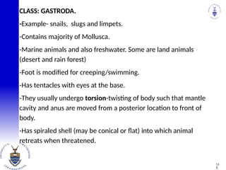 CLASS: GASTRODA.
-Example- snails, slugs and limpets.
-Contains majority of Mollusca.
-Marine animals and also freshwater. Some are land animals
(desert and rain forest)
-Foot is modified for creeping/swimming.
-Has tentacles with eyes at the base.
-They usually undergo torsion-twisting of body such that mantle
cavity and anus are moved from a posterior location to front of
body.
-Has spiraled shell (may be conical or flat) into which animal
retreats when threatened.
11
5
 