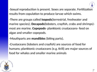 -Sexual reproduction is present. Sexes are separate. Fertilization
results from copulation to produce larvae which swims.
-There are groups called Isopods(terrestrial, freshwater and
marine species); Decapods(lobsters, crayfish, crabs and shrimps)-
most are marine. Copepods- planktonic crustaceans- feed on
algae and smaller copepods.
-Mouthparts are mandibles (biting parts).
-Crustaceans (lobsters and crayfish) are sources of food for
humans; planktonic crustaceans (e.g. Krill) are major sources of
food for whales and smaller marine animals
13
7
 