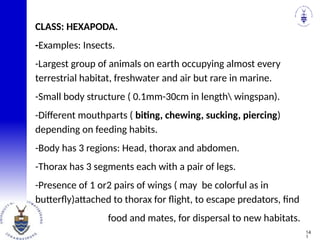 CLASS: HEXAPODA.
-Examples: Insects.
-Largest group of animals on earth occupying almost every
terrestrial habitat, freshwater and air but rare in marine.
-Small body structure ( 0.1mm-30cm in length wingspan).
-Different mouthparts ( biting, chewing, sucking, piercing)
depending on feeding habits.
-Body has 3 regions: Head, thorax and abdomen.
-Thorax has 3 segments each with a pair of legs.
-Presence of 1 or2 pairs of wings ( may be colorful as in
butterfly)attached to thorax for flight, to escape predators, find
food and mates, for dispersal to new habitats.
14
1
 