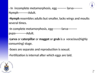 - In incomplete metamorphosis, egg --------- larva---------
Nymph----------Adult.
-Nymph resembles adults but smaller, lacks wings and moults
several times.
-In complete metamorphosis, egg---------larva---------
pupa-----------Adult.
-Larva or caterpillar or maggot or grub is a voracious(highly
consuming) stage.
-Sexes are separate and reproduction is sexual.
-Fertilization is internal after which eggs are laid.
14
6
 
