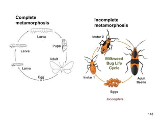 148
Complete
metamorphosis
Incomplete
metamorphosis
 