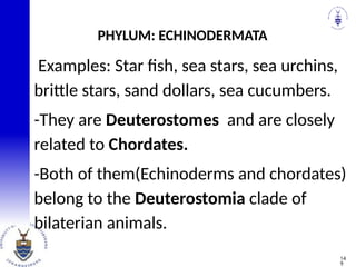 Examples: Star fish, sea stars, sea urchins,
brittle stars, sand dollars, sea cucumbers.
-They are Deuterostomes and are closely
related to Chordates.
-Both of them(Echinoderms and chordates)
belong to the Deuterostomia clade of
bilaterian animals.
PHYLUM: ECHINODERMATA
14
9
 