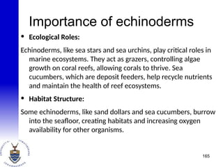 Importance of echinoderms
• Ecological Roles:
Echinoderms, like sea stars and sea urchins, play critical roles in
marine ecosystems. They act as grazers, controlling algae
growth on coral reefs, allowing corals to thrive. Sea
cucumbers, which are deposit feeders, help recycle nutrients
and maintain the health of reef ecosystems.
• Habitat Structure:
Some echinoderms, like sand dollars and sea cucumbers, burrow
into the seafloor, creating habitats and increasing oxygen
availability for other organisms.
165
 