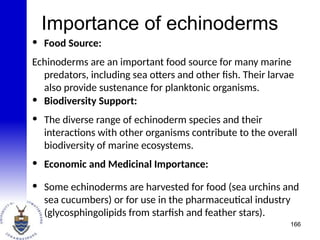 Importance of echinoderms
• Food Source:
Echinoderms are an important food source for many marine
predators, including sea otters and other fish. Their larvae
also provide sustenance for planktonic organisms.
• Biodiversity Support:
• The diverse range of echinoderm species and their
interactions with other organisms contribute to the overall
biodiversity of marine ecosystems.
• Economic and Medicinal Importance:
• Some echinoderms are harvested for food (sea urchins and
sea cucumbers) or for use in the pharmaceutical industry
(glycosphingolipids from starfish and feather stars).
166
 